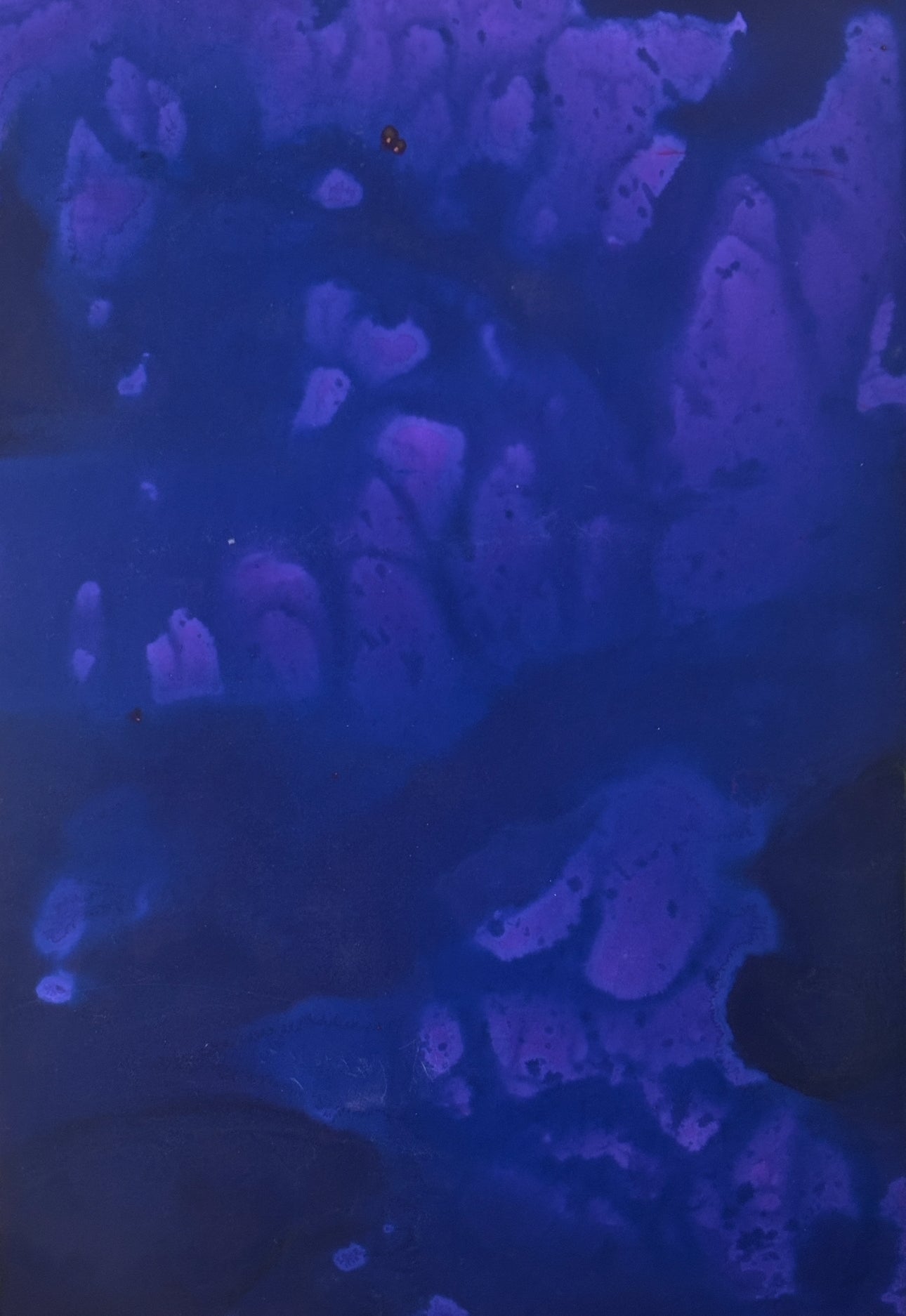 BTWN HUMANS x DREEA: Limited edition works on paper Massimbi Ericka Kabera